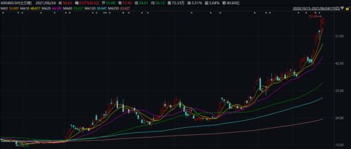 士兰微为何在集成电路设计领域表现强劲